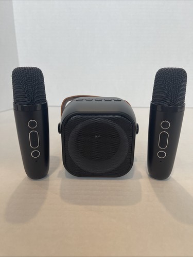 Kit altoparlanti karaoke