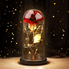 Rosa Eterna Rosa Bella E La