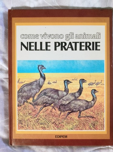 Come vivono gli - animali, nelle