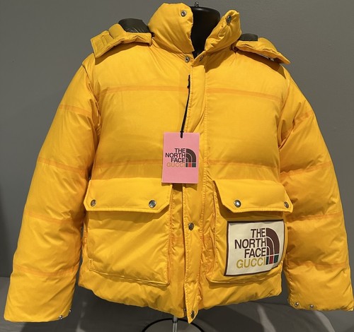 Gucci north face summit gold - face,
