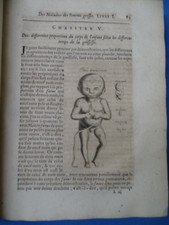 GINECOLOGIA-MEDICINA-MAURICEAU