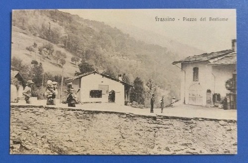 1920ca frassino - frassino,