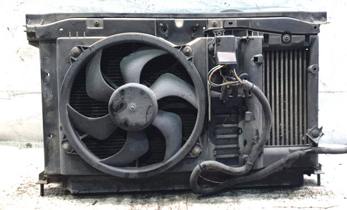 Calandra completa citroen - calandra,