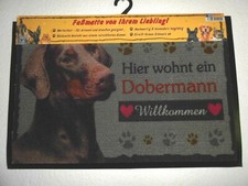 Zerbino Dobermann, zerbino