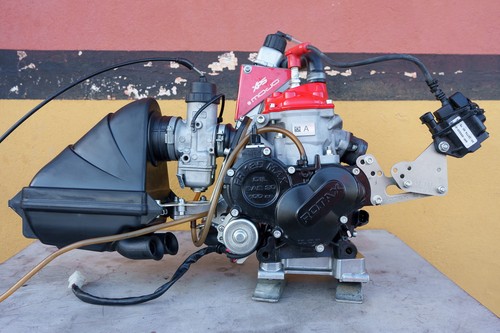 Motore rotax max 125 evo - max,