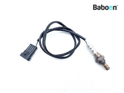 Sonda lambda ducati - lambda, +s