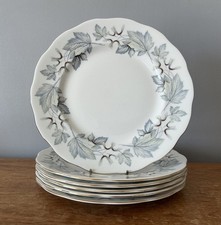 6x Royal Albert Silver Maple -