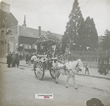 Char Floreale Prim Da Un