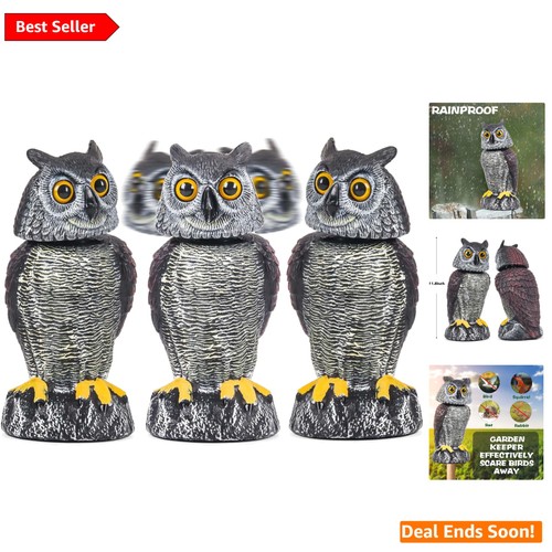 Confezione statue gufo - 3,
