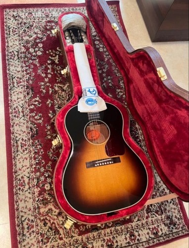Chitarra elettrica acustica