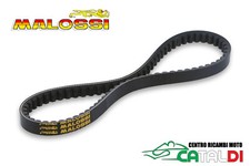 Cinghia trasmissione malossi - cinghia,