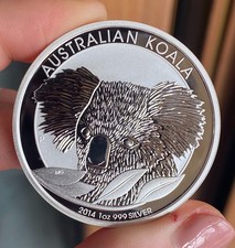Koala oncia 2014 - koala,