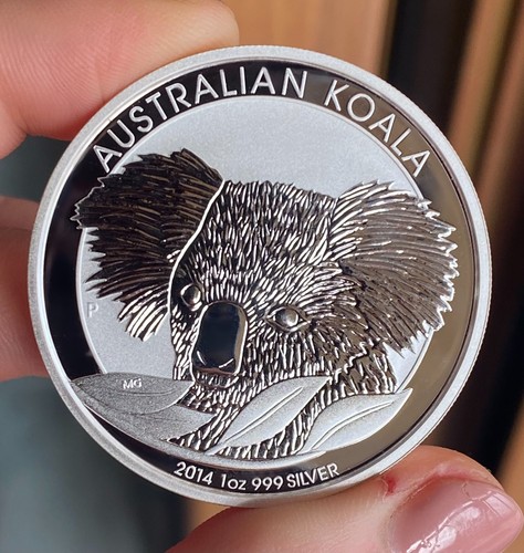 Koala oncia 2014 - koala, 1