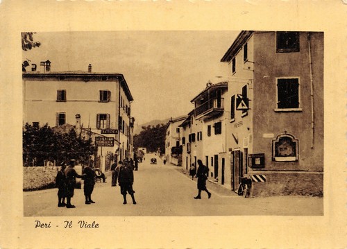 A8138 peri viale animata - peri,