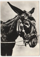 TAORMINA - MESSINA - SICILIAN