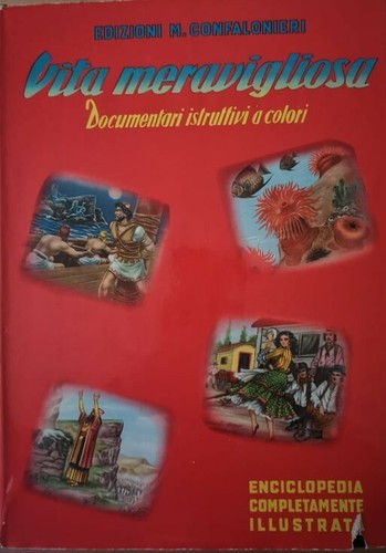 Vita meravigliosa - vita,