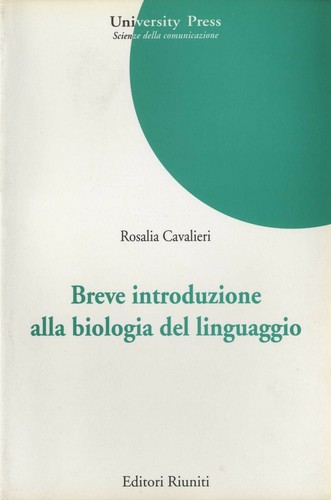Rosalia cavalieri breve - cavalieri,,