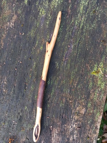 Parete juniper wood - parete, n.