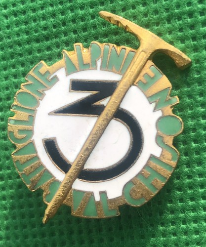 Distintivo fregio alpino - fregio,