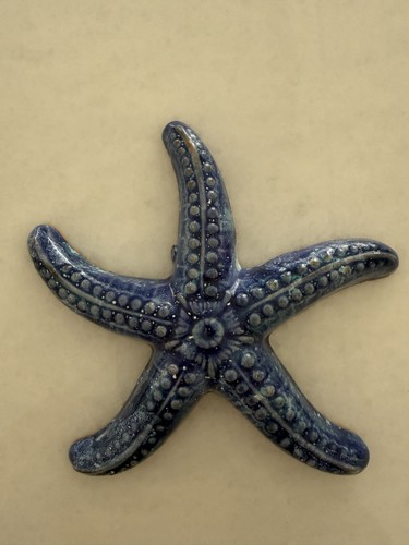 Stella marina ceramica - stella,