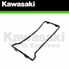 110610223 Guarnizione