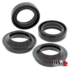 KIT PARAOLI E PARAPOLVERE