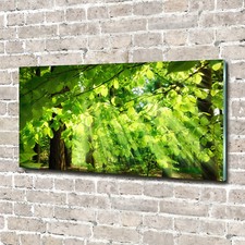 Quadro da parete in