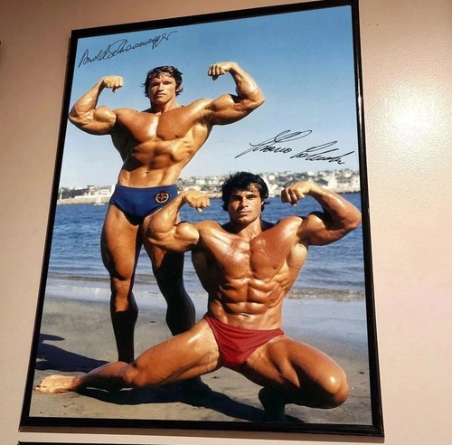 Poster arnold schwarzenegger - arnold, e
