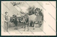 Siena City Costumes Ox Car