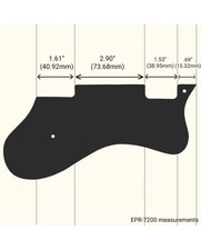 Pickguard Finto Tartaruga 4