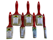 Set pennelli Cinghiale