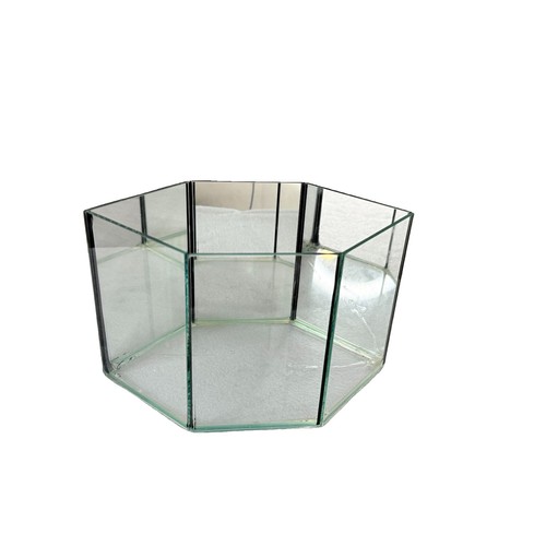 Vetrina terrario vetro