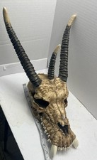 Grande Teschio di Drago