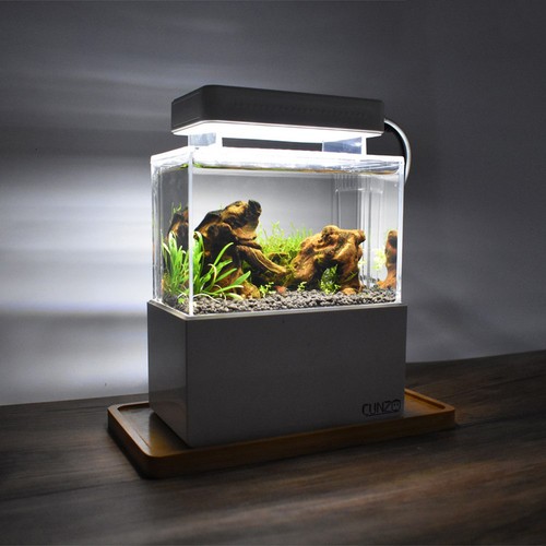 Mini betta fish tank - mini,