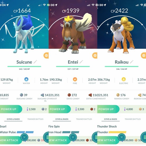 Pokémon set shiny - di, suicune