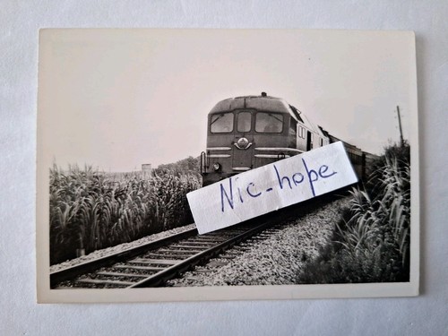 Fotografia locomotore diesel - locomotore,