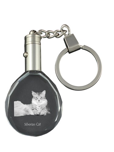 Siberiano gatto fob - siberiano, con