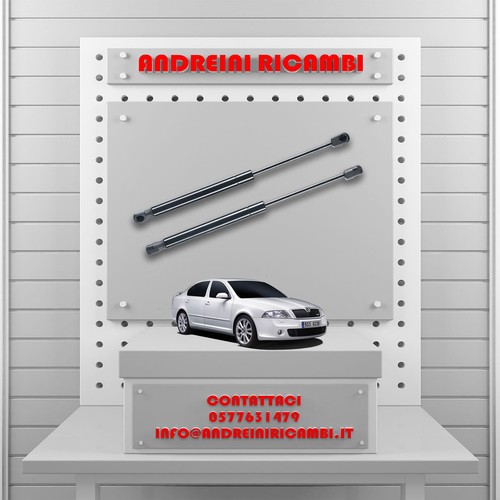 Molle gas bagagliaio skoda - 2,