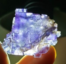 Esemplare minerale di fluorite