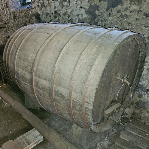 Botte legno per vino - botte,