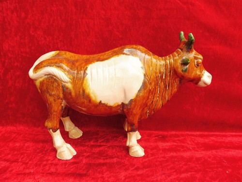 Bella vecchio figura - bella, ochse