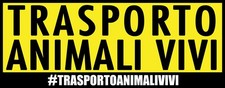 Adesivo Trasporto Animali Vivi
