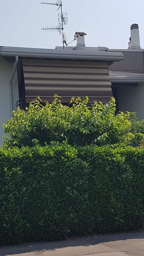 Tenda sole - tenda,