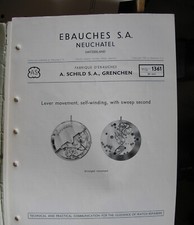 Technical Communication