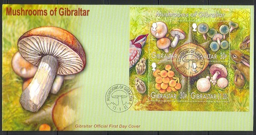 Gibilterra 2003
