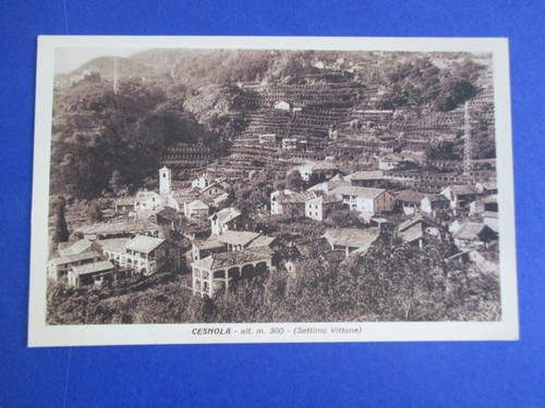 Cartolina cesnola settimo - -,
