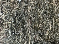 Fieno erba frutteto! Perfetto