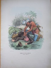 1871-INDIANI PELLI ROSSE Razza