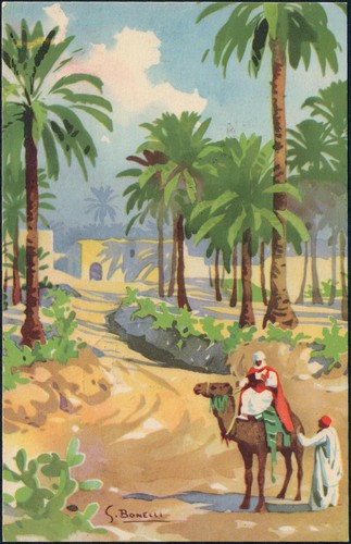 Cartolina oasi tripoli - cartolina,