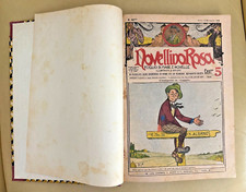 NOVELLINO ROSA RACCOLTA